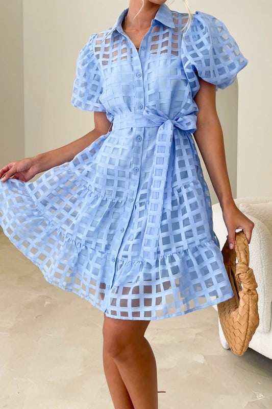 Organza Solid Check Ruffled Mini Dress
